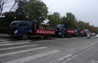 漁業增殖促生態，畜牧水產譜新篇——江西修水縣開展資源放流活動助力產業發展