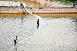 南岸區大力發展生態漁業，助推畜牧漁業飼料銷售新增長
