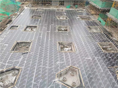 武昌知名自粘卷材 品質卓越，售后無憂，武漢長盛鑫防水工程專業供應